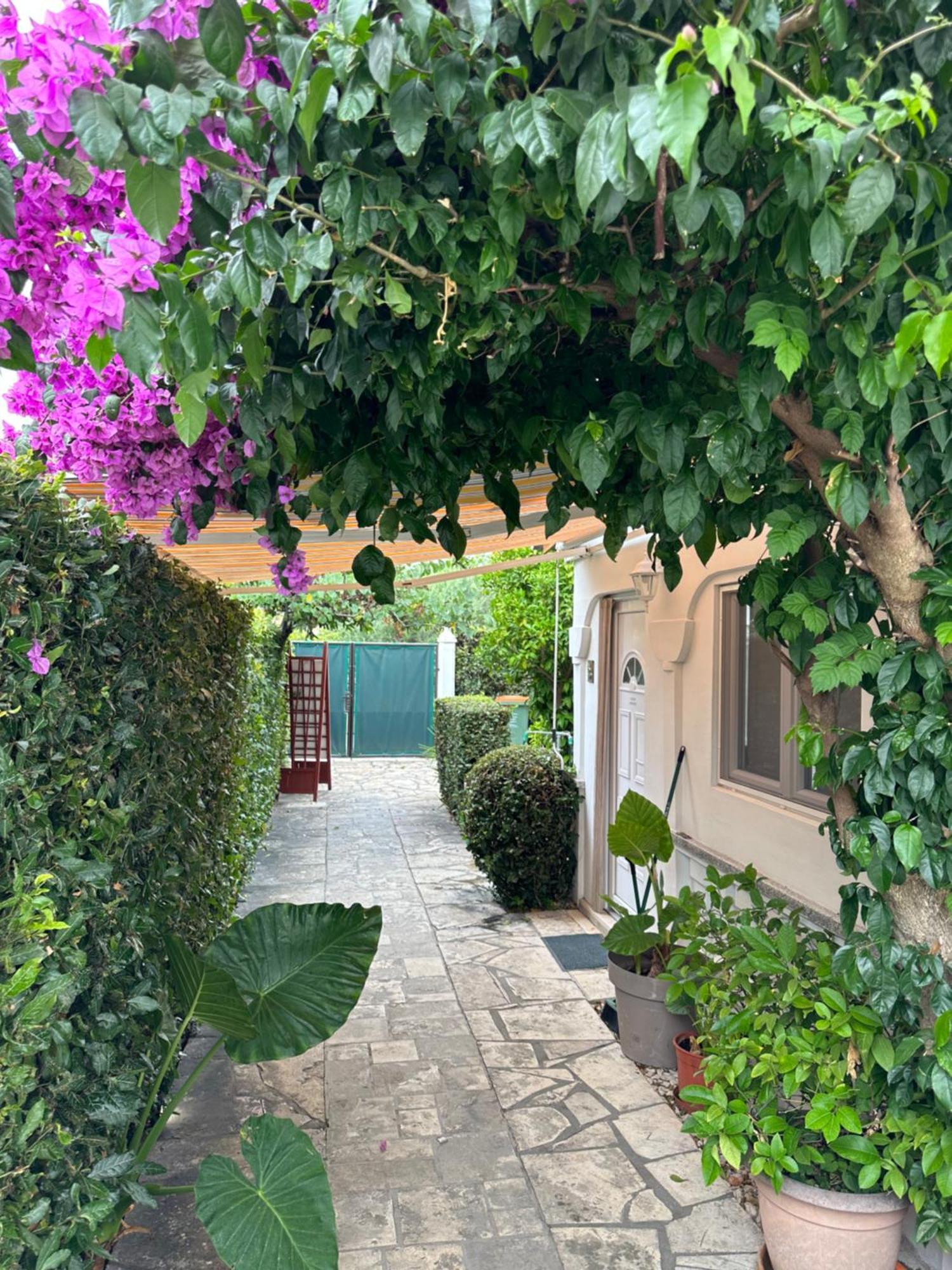 Luxury Residence Zola Zadar Bagian luar foto